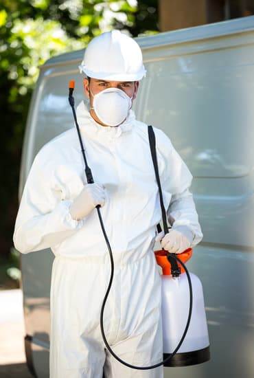 Disinfestazioni servizio